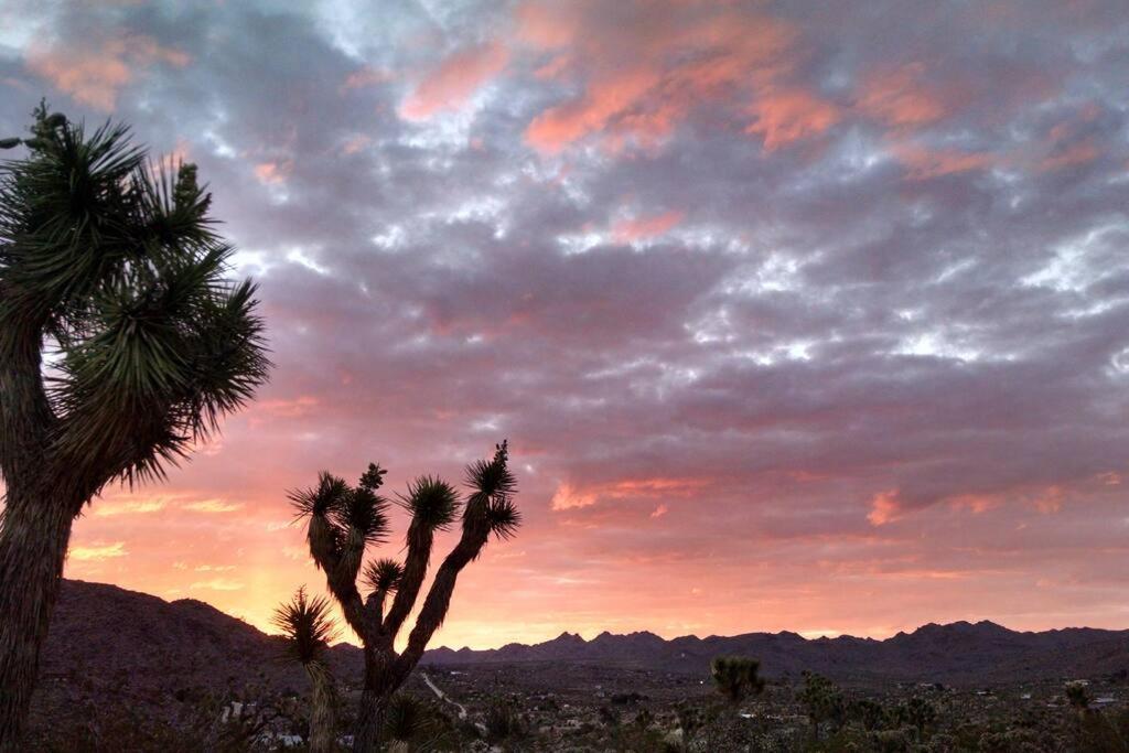 Steph'S Panorama Paradise-Nat'L Park Minutes Away Joshua Tree Kültér fotó