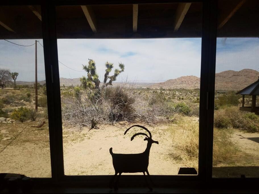 Steph'S Panorama Paradise-Nat'L Park Minutes Away Joshua Tree Kültér fotó